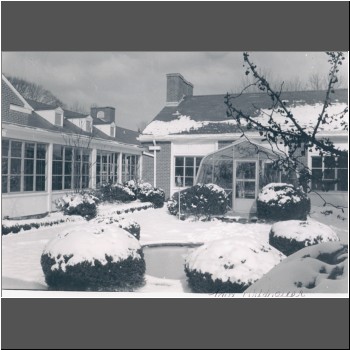 Unable to load Image